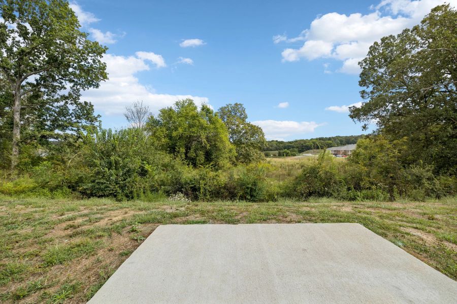 Natural landscape and outdoor views near Cades Bluff in Lebanon (Image 42).