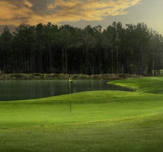 Natural landscape and outdoor views near The Highlands 50' in Porter (Image 9).