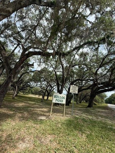 Natural landscape and outdoor views near in Dunnellon (Image 33). Natural landscape and outdoor views near in Dunnellon (Image 33).