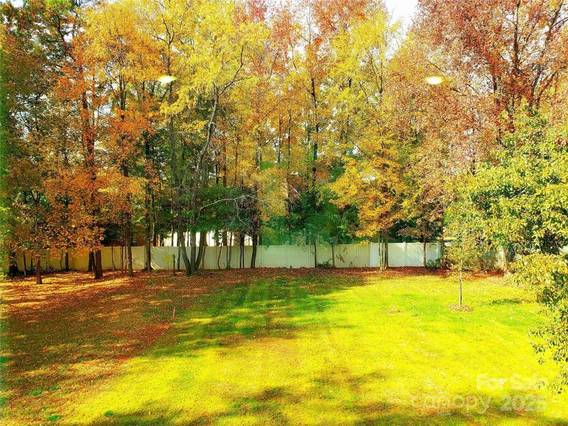 Natural landscape and outdoor views near in Charlotte (Image 32). Natural landscape and outdoor views near in Charlotte (Image 32).