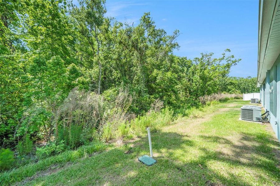 Natural landscape and outdoor views near in New Port Richey (Image 26). Natural landscape and outdoor views near in New Port Richey (Image 26).