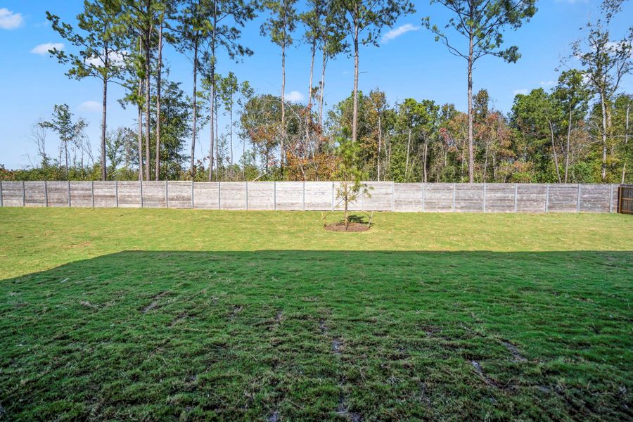 Natural landscape and outdoor views near Artavia in Conroe (Image 44). Natural landscape and outdoor views near Artavia in Conroe (Image 44).