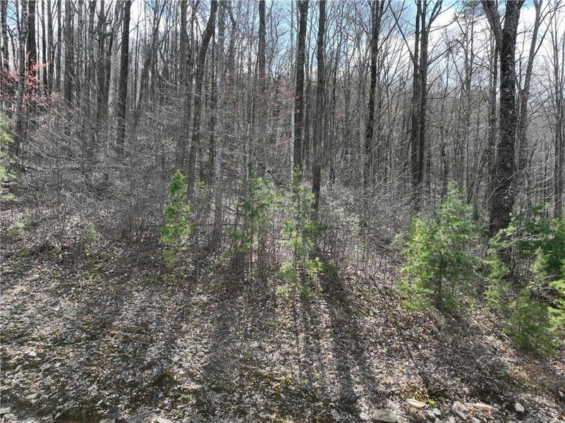 Image 18 of a home in .