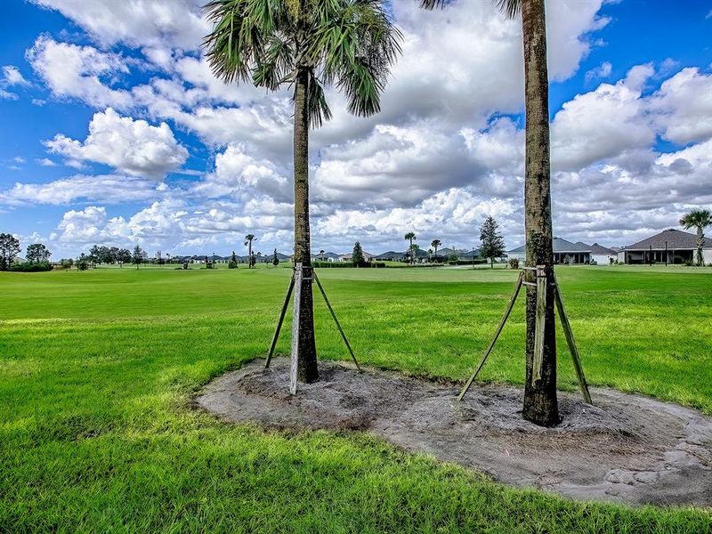 Natural landscape and outdoor views near in The Villages (Image 55). Natural landscape and outdoor views near in The Villages (Image 55).