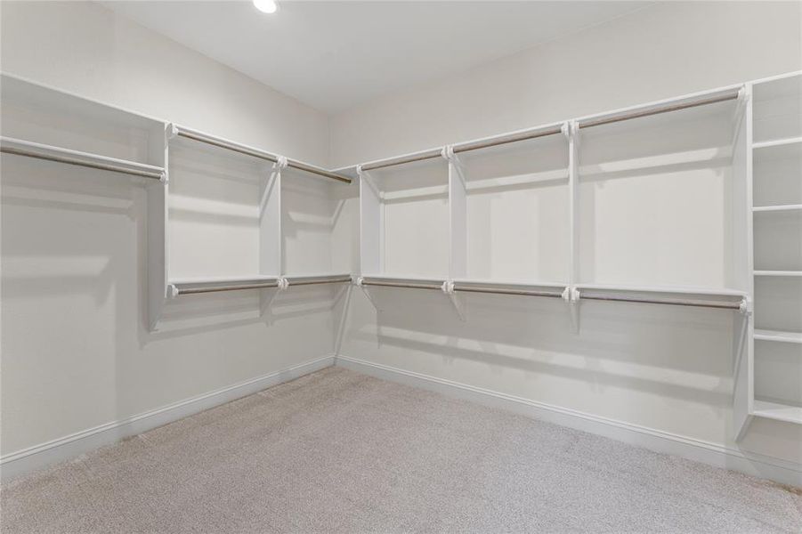 Spacious closet featuring light colored carpet