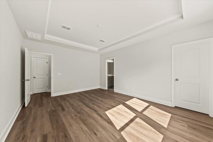 Owner's Suite with tray ceiling Owner's Suite with tray ceiling