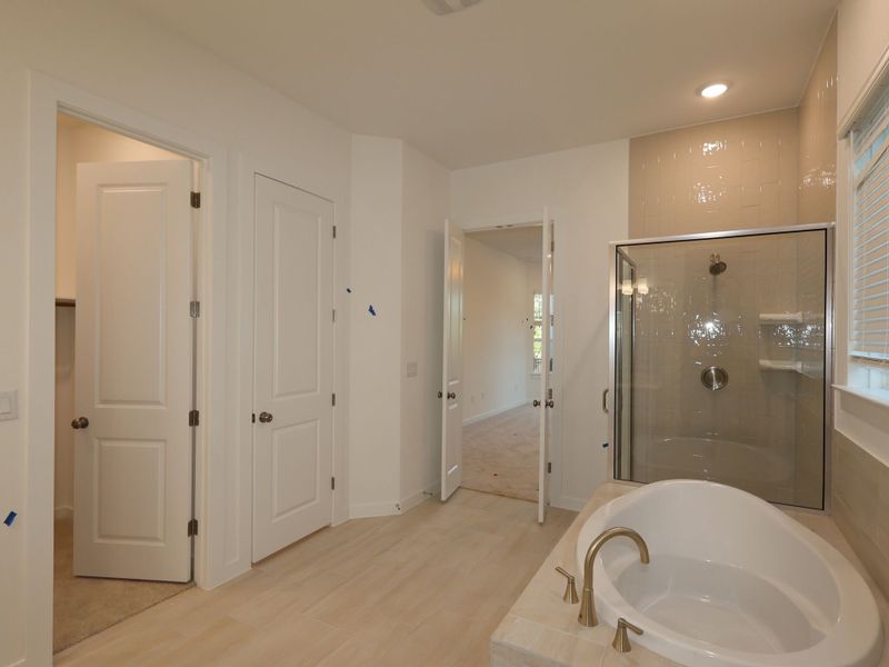 Owner's Bathroom