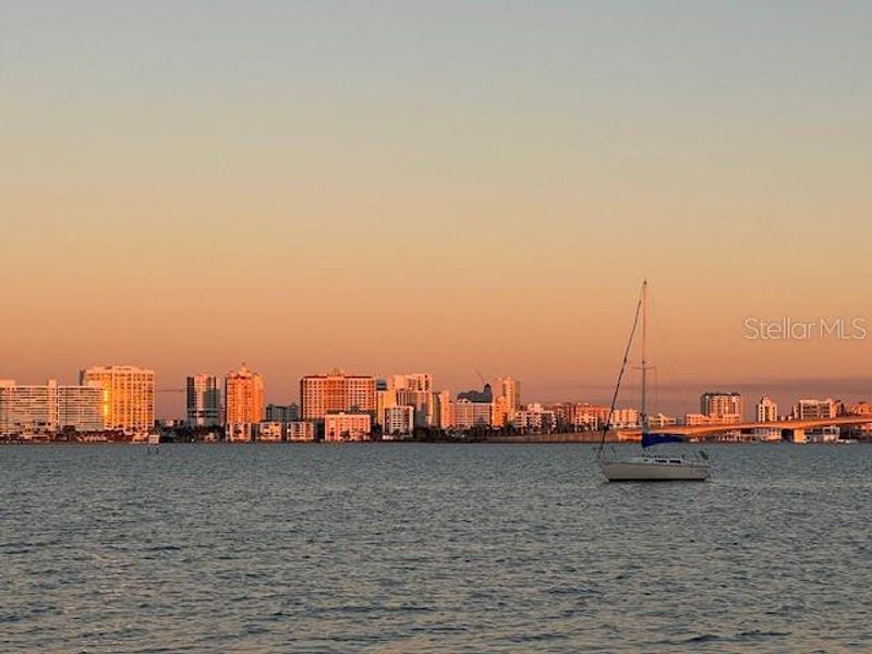 Sarasota Skyline