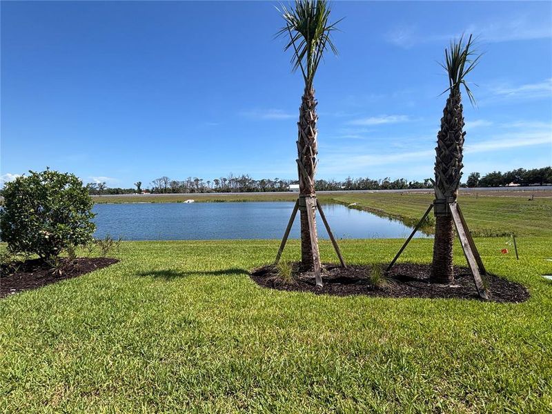 Natural landscape and outdoor views near Shores at Stillwater in Englewood (Image 19).