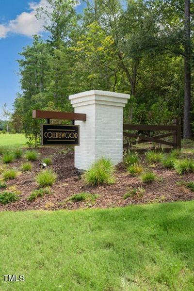 collinswood-monument-001