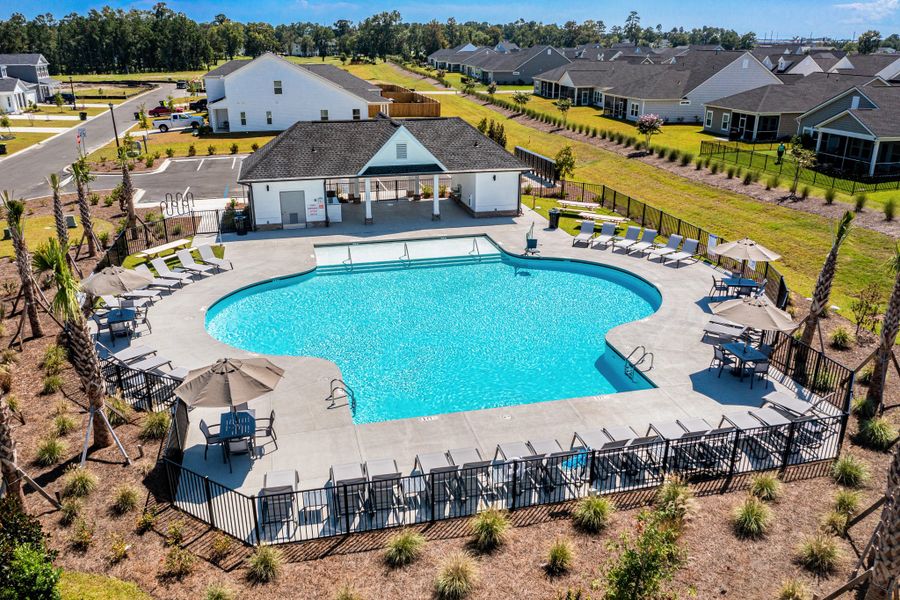 Dive into resort-style relaxation, just steps from home.