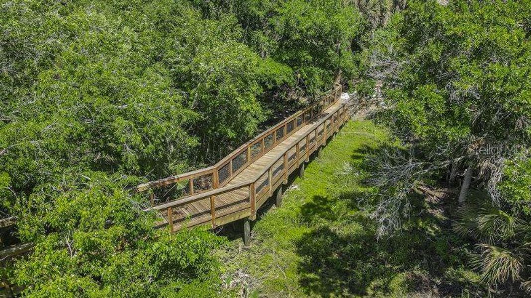 Natural landscape and outdoor views near Skye Ranch Community Group Page in Sarasota (Image 35).