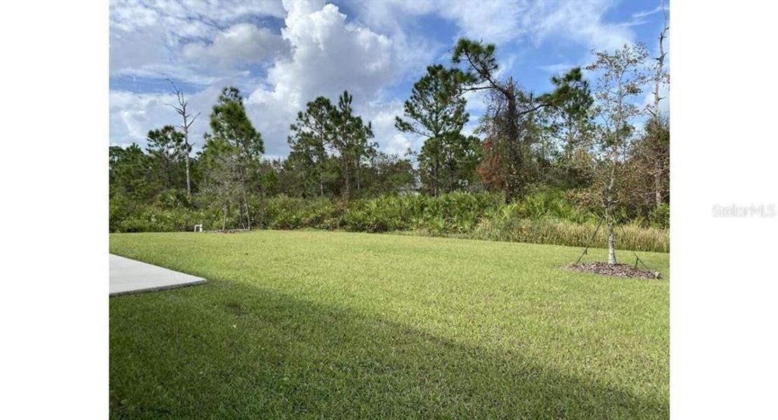 Natural landscape and outdoor views near in North Port (Image 13). Natural landscape and outdoor views near in North Port (Image 13).