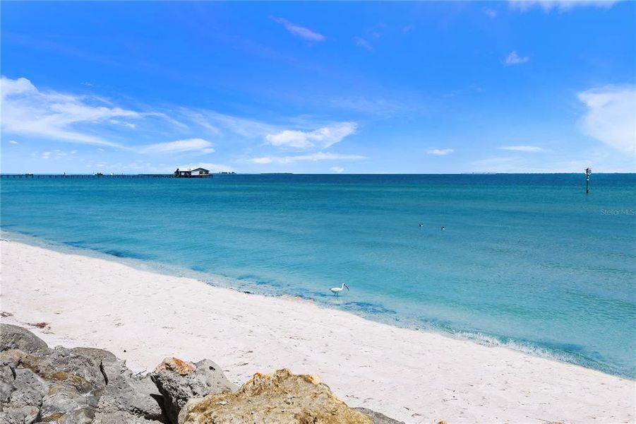 Natural landscape and outdoor views near  in Anna Maria (Image 35).