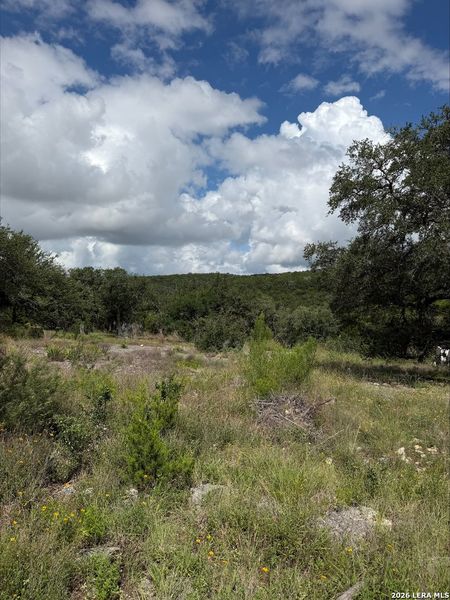 Natural landscape and outdoor views near  in New Braunfels (Image 14).
