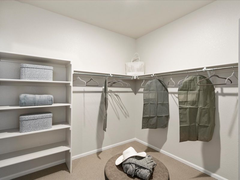 Furnished interior view inside a new home in Poudre Heights: The Alpine Collection, Windsor (Image 11).