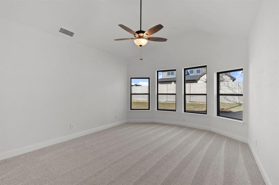 DAL_Painted Tree_Mineola_3916 Attwater Street (21)