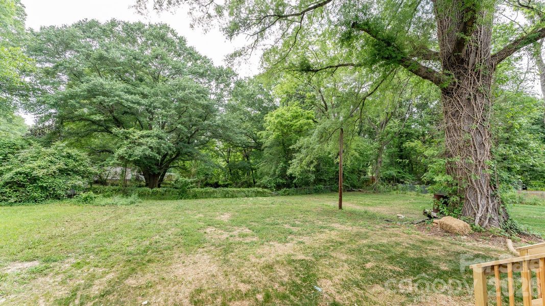 Natural landscape and outdoor views near  in Gastonia (Image 30).