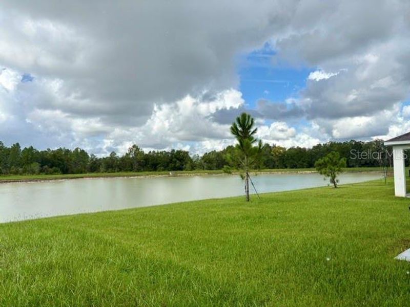Natural landscape and outdoor views near Northwater at Two Rivers in Zephyrhills (Image 3).