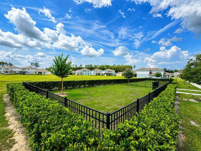 Natural landscape and outdoor views near in Apopka (Image 31). Natural landscape and outdoor views near in Apopka (Image 31).