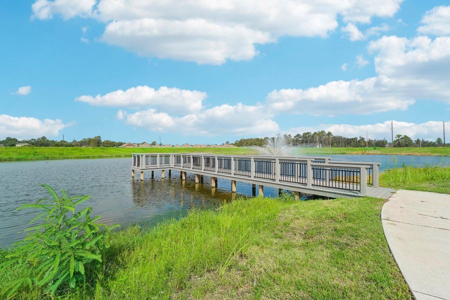 Natural landscape and outdoor views near Newport Pointe in Crosby (Image 24).