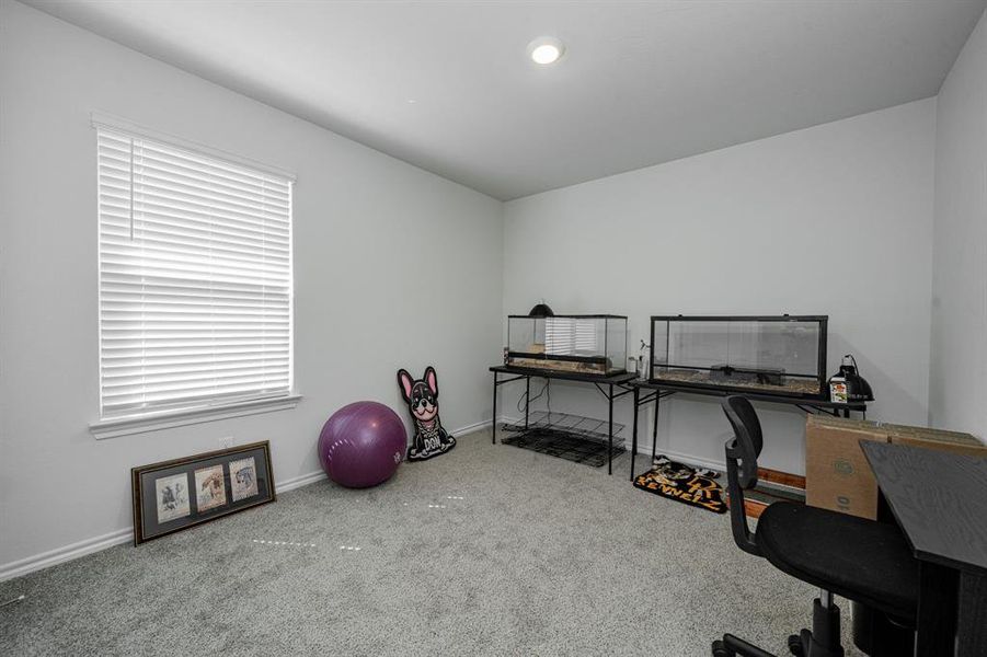 Carpeted bedroom Carpeted bedroom