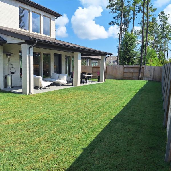 Backyard 1 Backyard 1