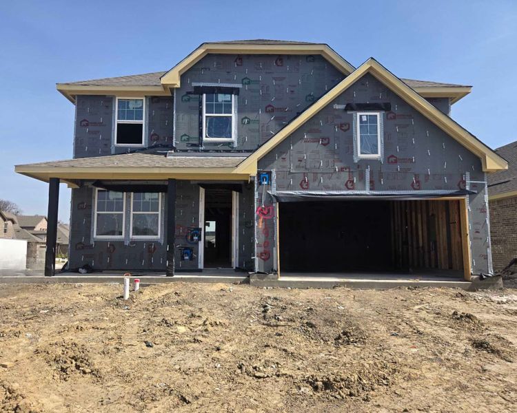 Exterior Design Construction Progress