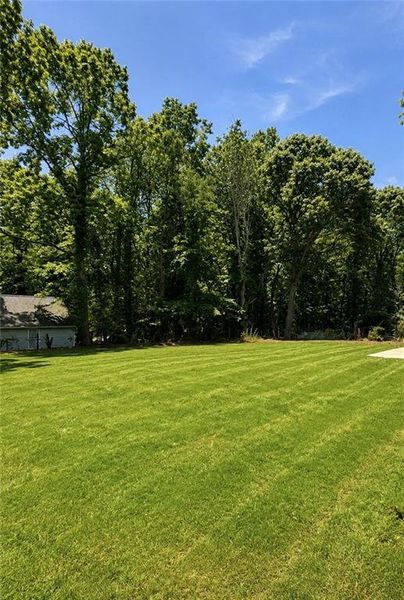 Natural landscape and outdoor views near  in Gainesville (Image 31).