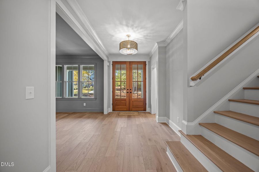 4-web-or-mls-2N6A4350