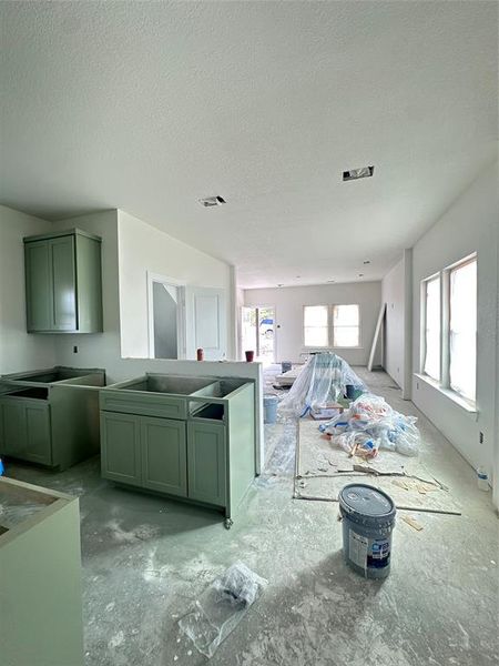 Kitchen with green cabinets, plenty of natural light, a textured ceiling, and open floor plan