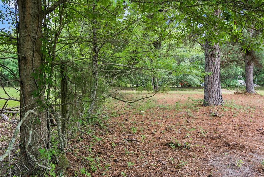 Natural landscape and outdoor views near  in Eutawville (Image 49).
