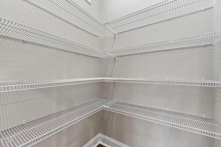 41-web-or-mls-DSC00188