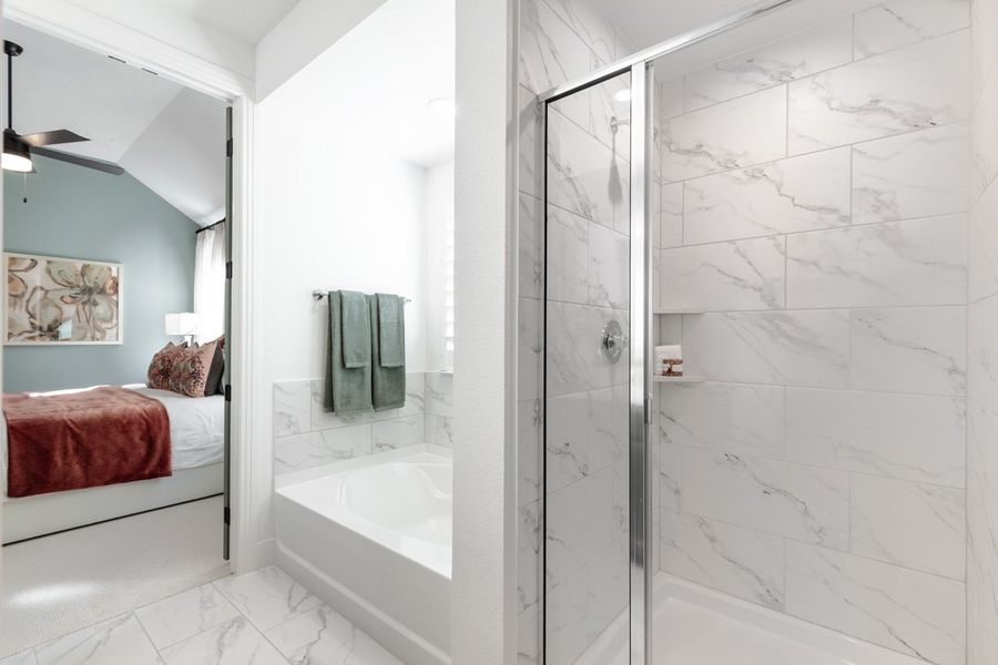 Representative Primary Bathroom - some options shown