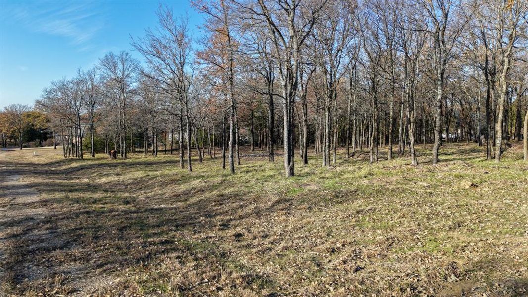 Underground utilities with high-speed internet, city water, and sewer -- offering a rual feel with modern conveniences.