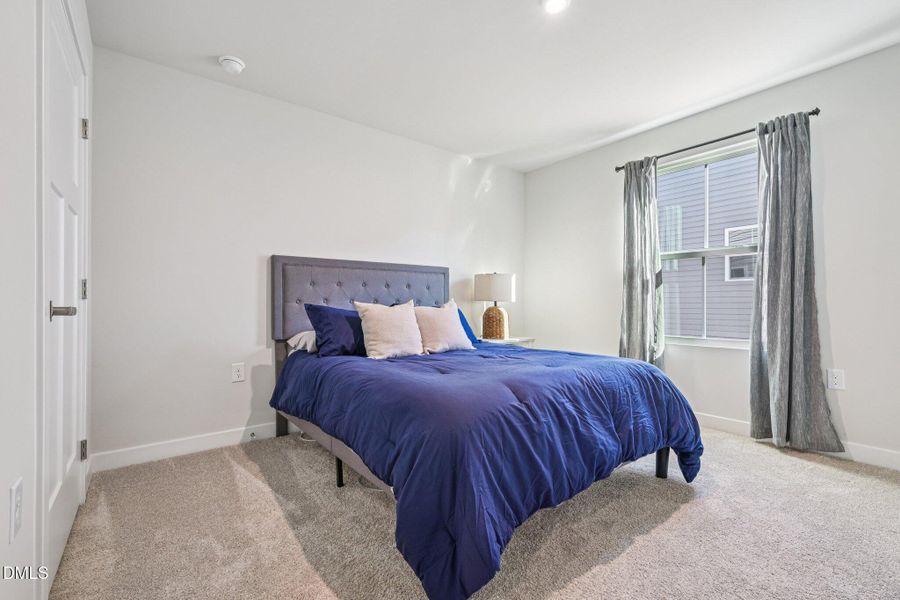 22-web-or-mls-matthiola-S1301-022