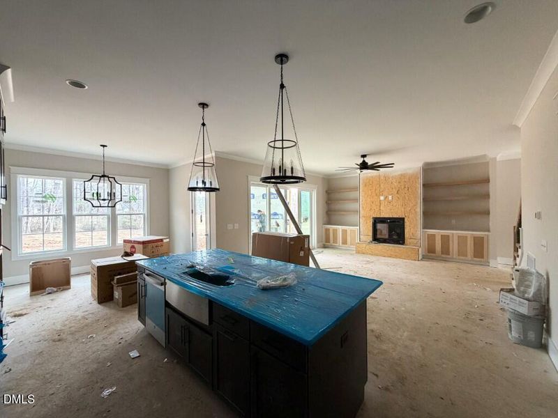 Photo Feb 16 2026, 10 55 48 AM (Medium)