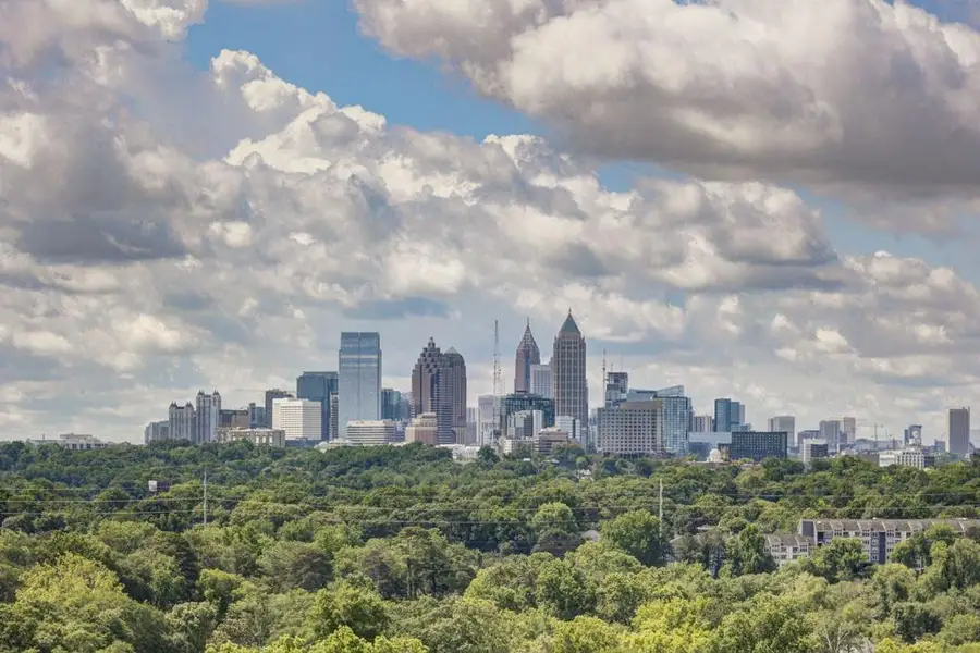 Image 22 of a home in The Dillon Buckhead.