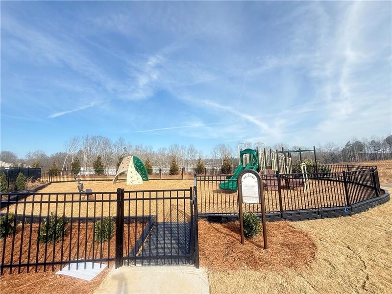Community amenities in Clark Farms, Flowery Branch (Image 27).