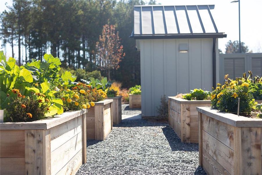 Image 37 of a home in Soleil Belmont Park.