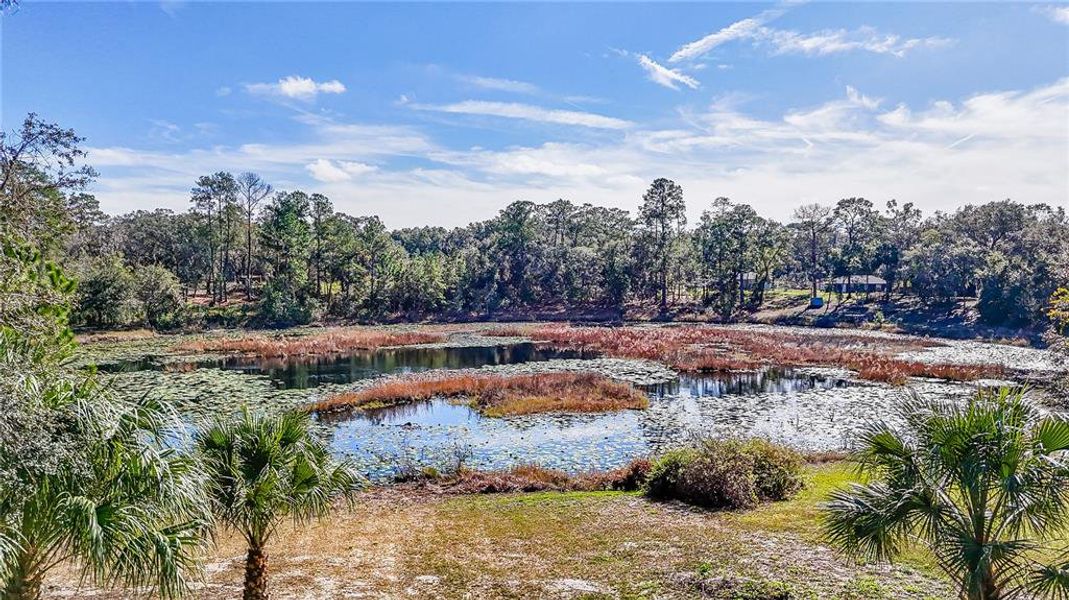 Natural landscape and outdoor views near  in Ocklawaha (Image 35).