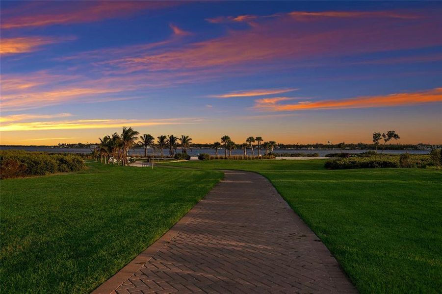Natural landscape and outdoor views near  in Palmetto (Image 61).