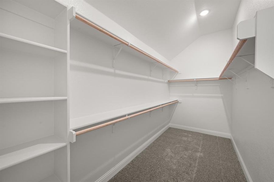 7725 Sweet Sorghum- Primary Suite-6