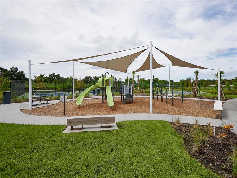 Community amenities in The Grove at Stuart Crossing - Classic Series, Bartow (Image 46).