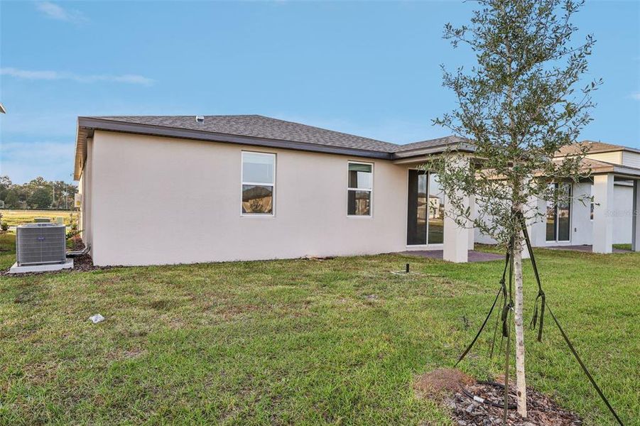 Exterior details and patio area of a home in The Reserve at Twin Lakes, St. Cloud (Image 22).