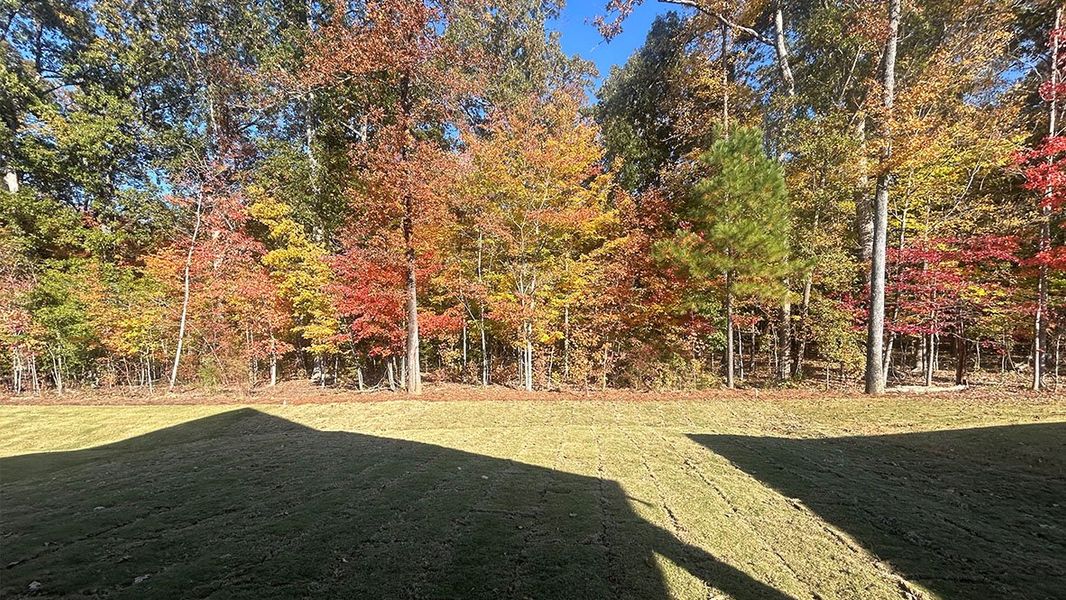 Natural landscape and outdoor views near Cross Creek in Lexington (Image 34).