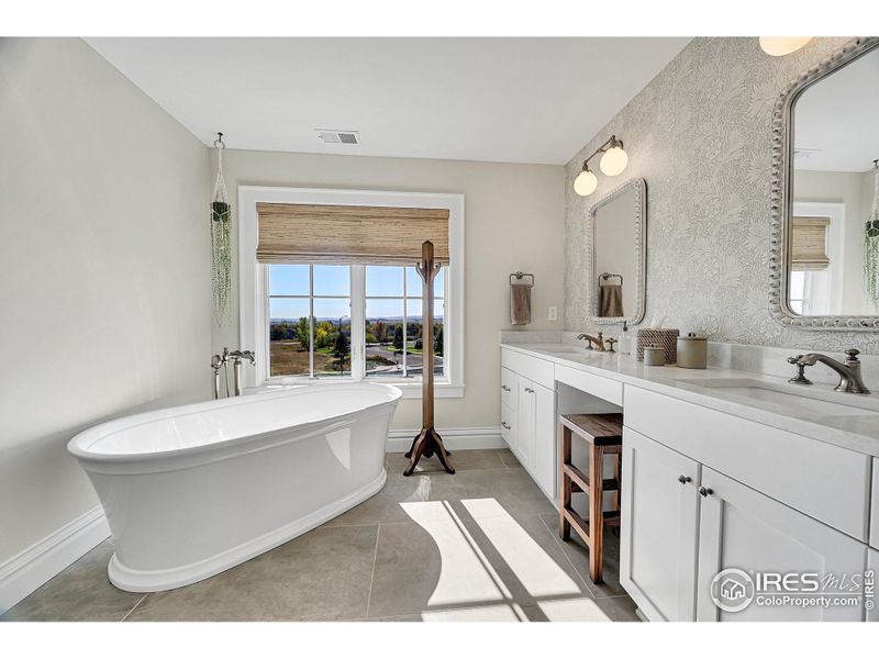 Separate soaking tub and walk-in shower with double shower heads