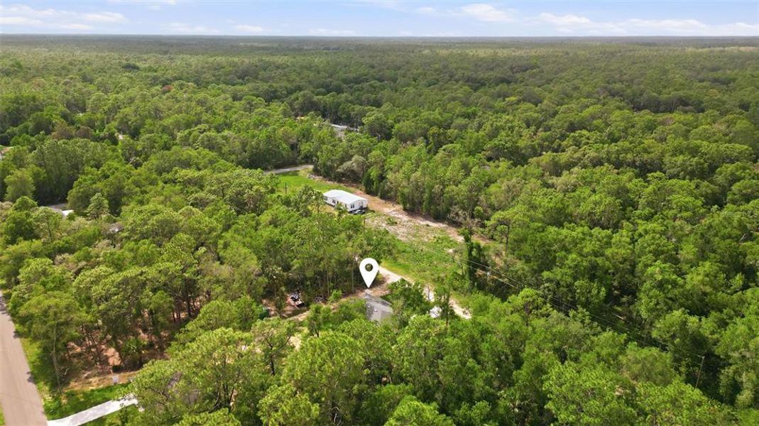 Natural landscape and outdoor views near  in Crystal River (Image 27).