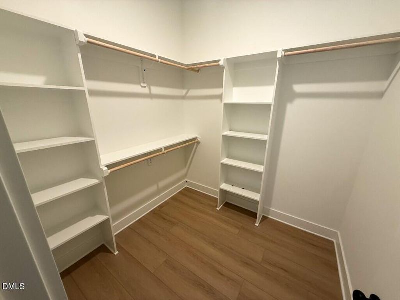 Photo Mar 03 2026, 9 41 37 AM (Medium)