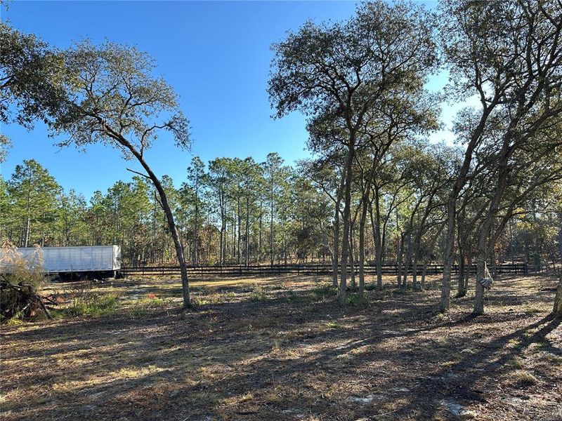 Natural landscape and outdoor views near in Williston (Image 28). Natural landscape and outdoor views near in Williston (Image 28).